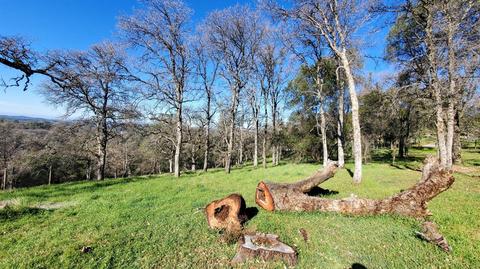 4700 Casual Ct, Placerville, CA 95667 photo 31
