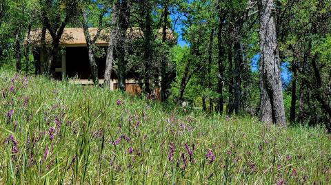 4700 Casual Ct, Placerville, CA 95667 photo 36