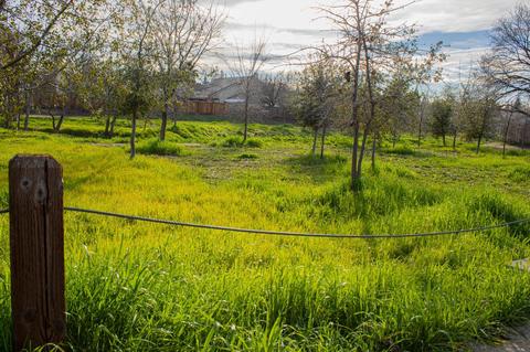 4245 Oslo Ct, Antelope, CA 95843 photo 31