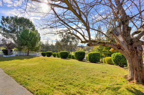 6490 Wagon Loop, Placerville, CA 95667 photo 55