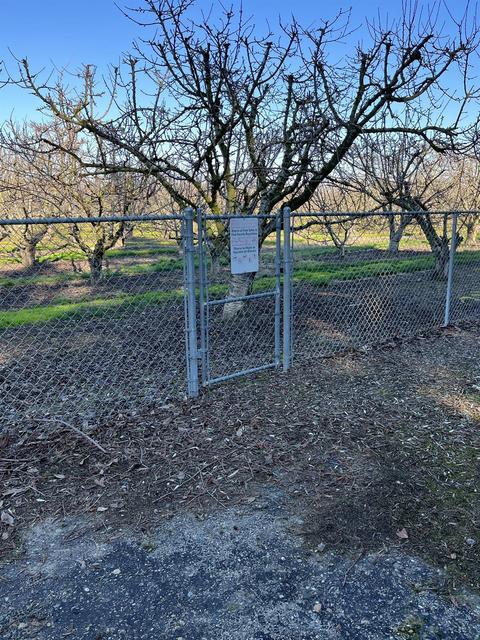 6521 E Hogan Ln, Lodi, CA 95240 photo 24