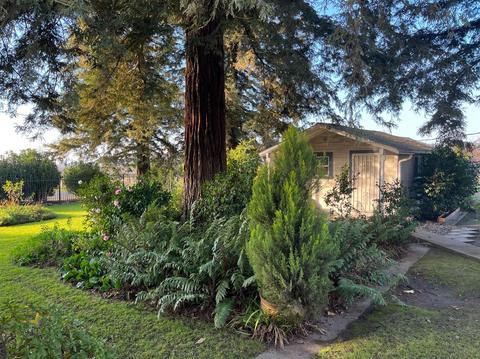 6521 E Hogan Ln, Lodi, CA 95240 photo 3