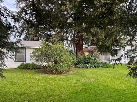 6521 E Hogan Ln, Lodi, CA 95240 photo 21