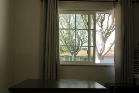 2008 Mount Whitney, Modesto, CA 95358 photo 15