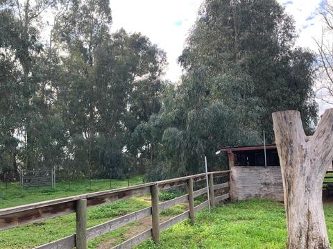 3524 E Service Rd, Ceres, CA 95307 photo 74