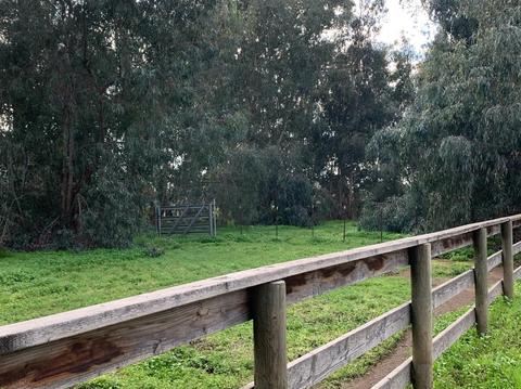 3524 E Service Rd, Ceres, CA 95307 photo 73