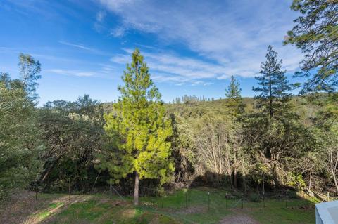 16430 Meadow Rd, Sutter Creek, CA 95685 photo 39