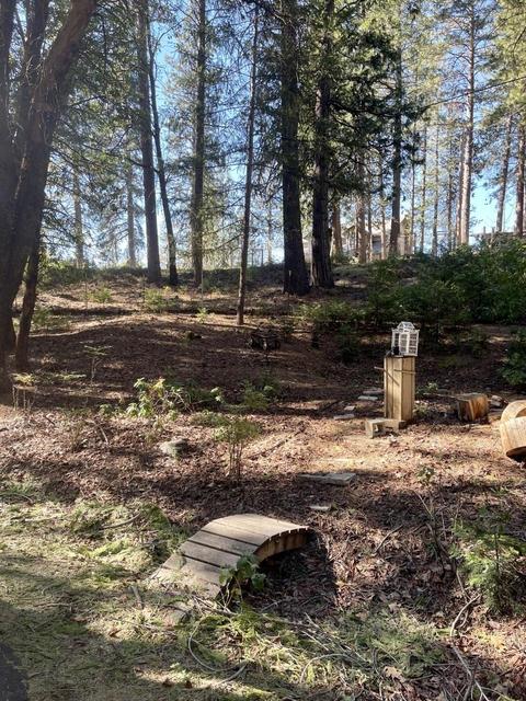 6370 Log Cabin Ln, Placerville, CA 95667 photo 37