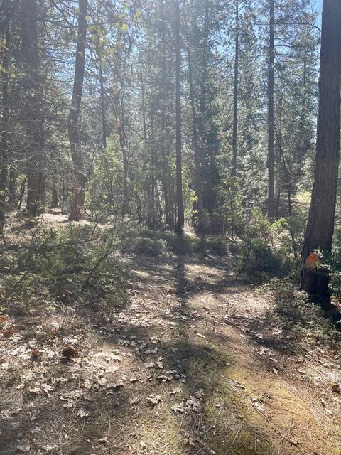 6370 Log Cabin Ln, Placerville, CA 95667 photo 36