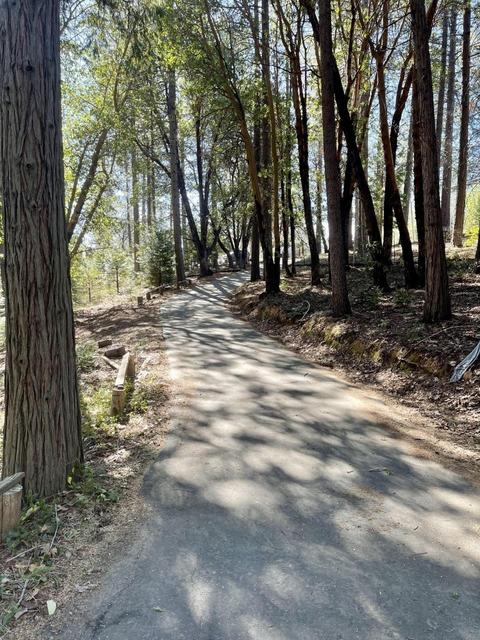 6370 Log Cabin Ln, Placerville, CA 95667 photo 39