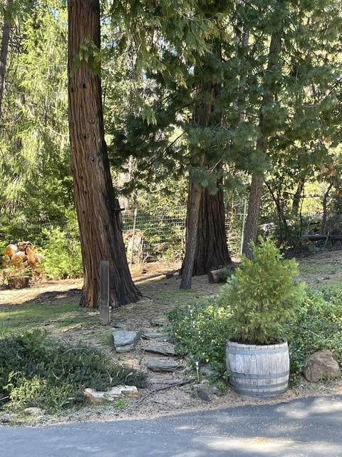 6370 Log Cabin Ln, Placerville, CA 95667 photo 34