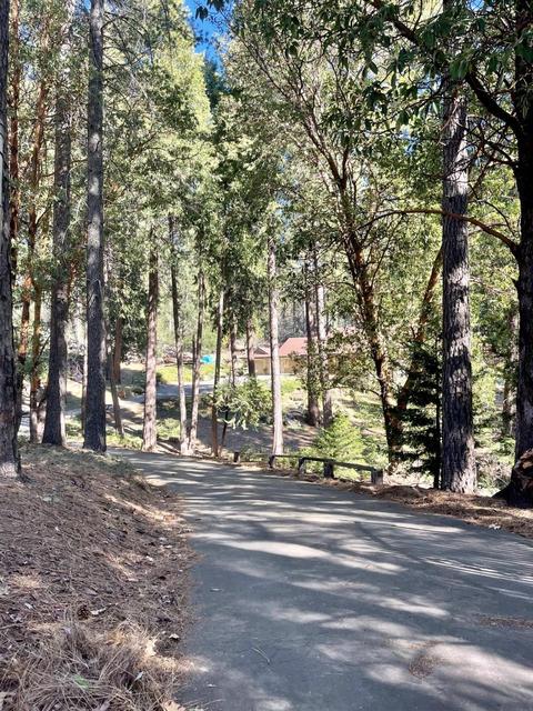 6370 Log Cabin Ln, Placerville, CA 95667 photo 43