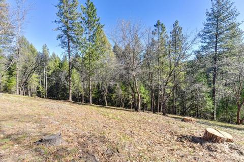 4551 Rivendale Rd, Placerville, CA 95667 photo 66