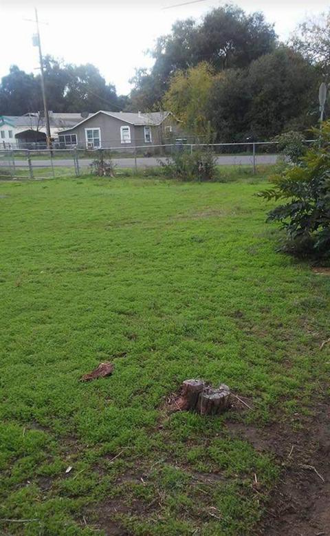 5035 Western Ave, Olivehurst, CA 95961 photo 14