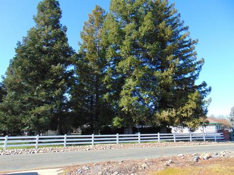 10951 Mann Rd, Wilton, CA 95693 photo 26