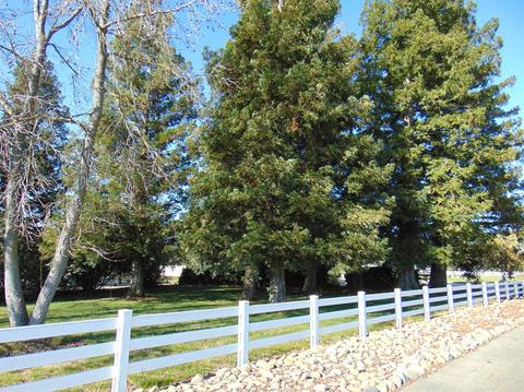 10951 Mann Rd, Wilton, CA 95693 photo 28