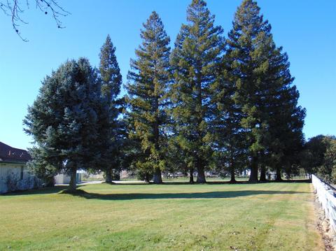 10951 Mann Rd, Wilton, CA 95693 photo 4