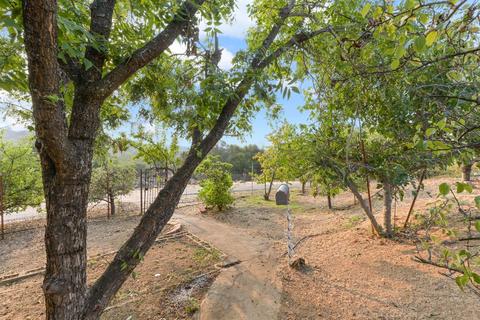 4200 Studebaker Rd, Placerville, CA 95667 photo 44