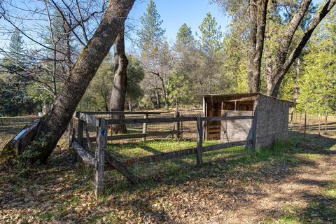5540 Rocky Ridge Rd, Placerville, CA 95667 photo 20