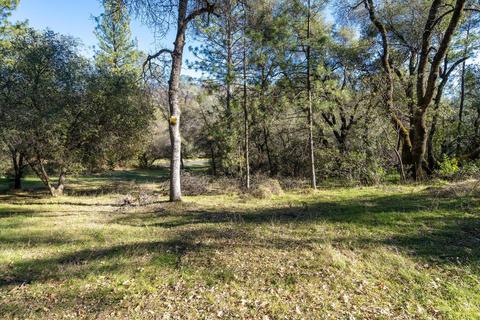 5540 Rocky Ridge Rd, Placerville, CA 95667 photo 18