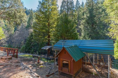 900 Barney Way, West Point, CA 95255 photo 57