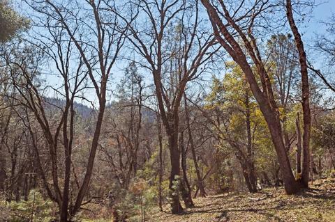 19927 Ocelot Dr, Grass Valley, CA 95949 photo 29