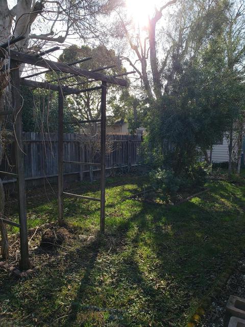 310 Rainier Dr, Lodi, CA 95242 photo 18