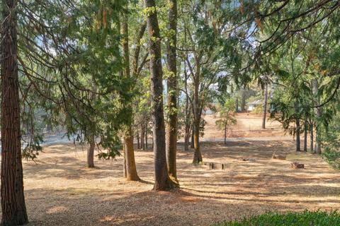 7708 Sly Park Rd, Placerville, CA 95667 photo 83