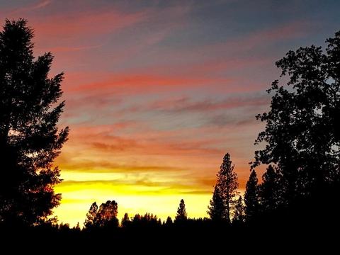 1409 Cerro Vista Dr, Applegate, CA 95703 photo 4