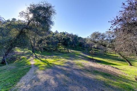 440 Slowdown Rd, Newcastle, CA 95658 photo 2