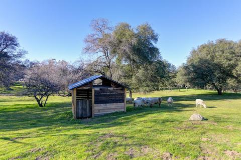 440 Slowdown Rd, Newcastle, CA 95658 photo 28