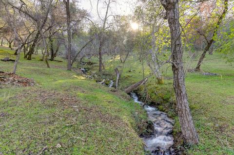 440 Slowdown Rd, Newcastle, CA 95658 photo 11