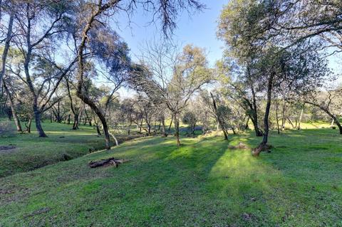 440 Slowdown Rd, Newcastle, CA 95658 photo 12