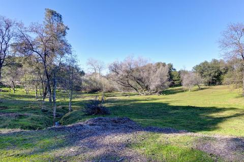 440 Slowdown Rd, Newcastle, CA 95658 photo 6