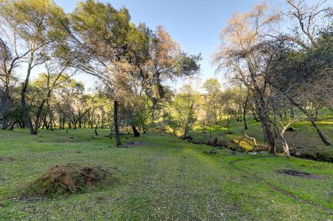 440 Slowdown Rd, Newcastle, CA 95658 photo 16
