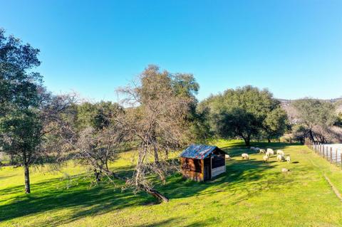 440 Slowdown Rd, Newcastle, CA 95658 photo 31