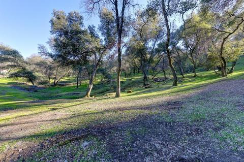 440 Slowdown Rd, Newcastle, CA 95658 photo 8