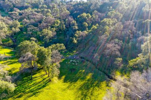 440 Slowdown Rd, Newcastle, CA 95658 photo 37