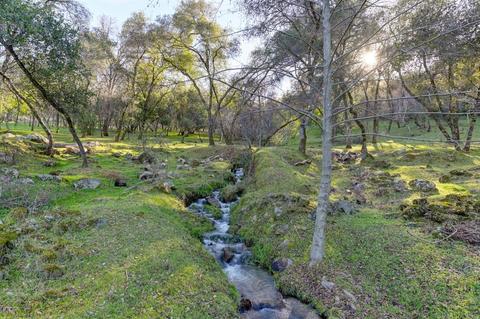 440 Slowdown Rd, Newcastle, CA 95658 photo 9