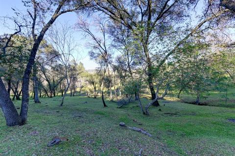 440 Slowdown Rd, Newcastle, CA 95658 photo 17