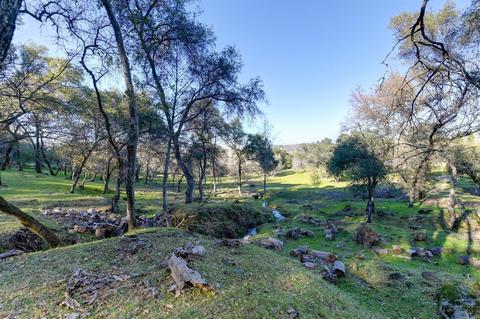 440 Slowdown Rd, Newcastle, CA 95658 photo 10