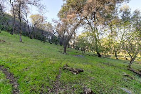 440 Slowdown Rd, Newcastle, CA 95658 photo 15
