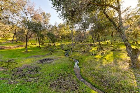 440 Slowdown Rd, Newcastle, CA 95658 photo 4