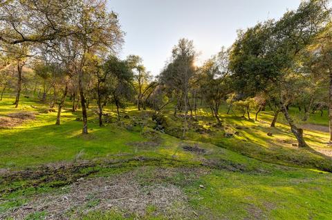 440 Slowdown Rd, Newcastle, CA 95658 photo 3