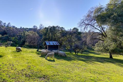 440 Slowdown Rd, Newcastle, CA 95658 photo 26