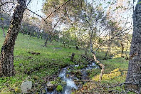 440 Slowdown Rd, Newcastle, CA 95658 photo 13