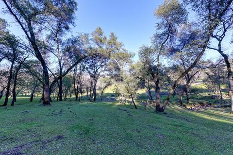 440 Slowdown Rd, Newcastle, CA 95658 photo 18