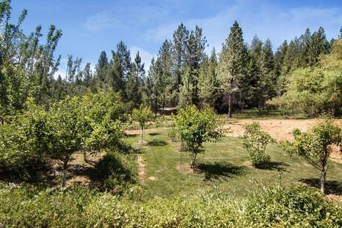 6492 State Highway 193, Georgetown, CA 95634 photo 93