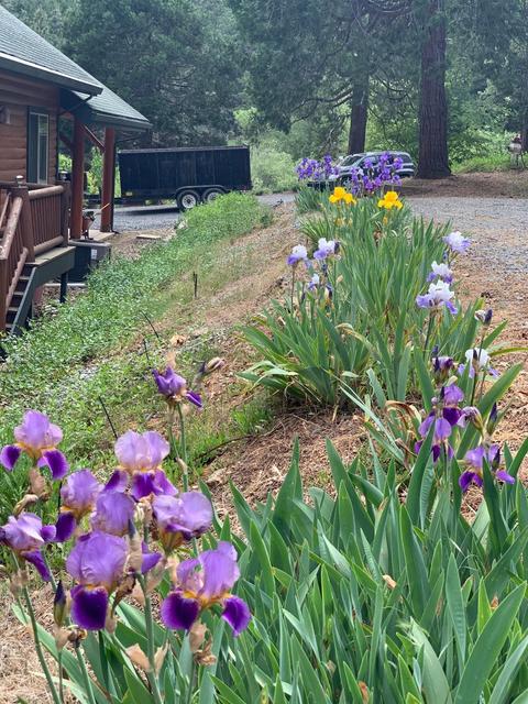 6492 State Highway 193, Georgetown, CA 95634 photo 67