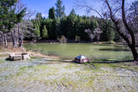 6492 State Highway 193, Georgetown, CA 95634 photo 69